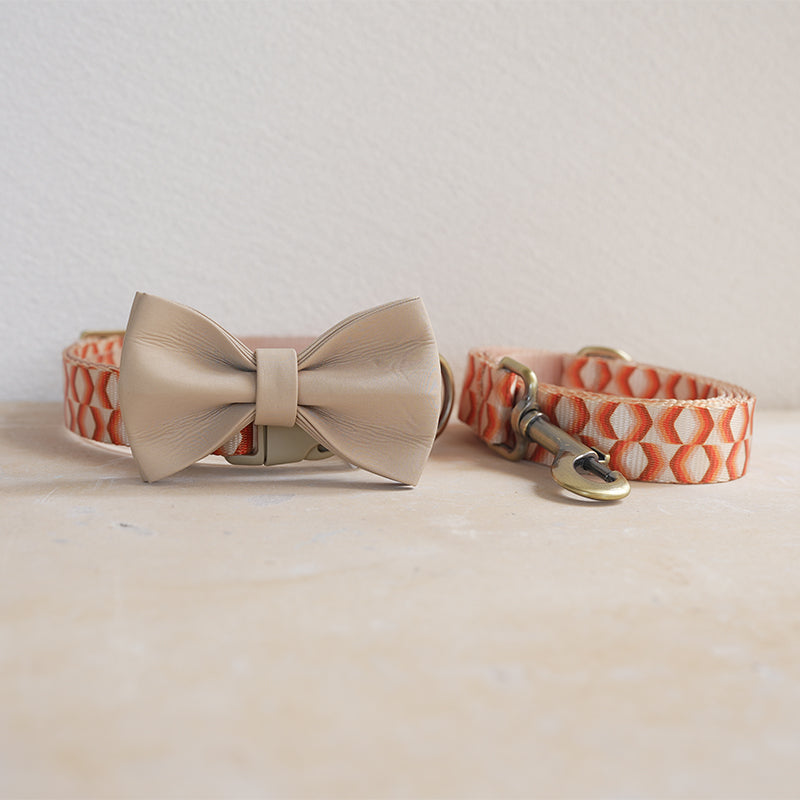 Cute Personalized Dog Collar with Plastic Buckle