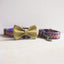 Cute Personalized Dog Collar with Plastic Buckle