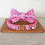 Christmas Adjustable Personalized Cat Collar With Removable Bell