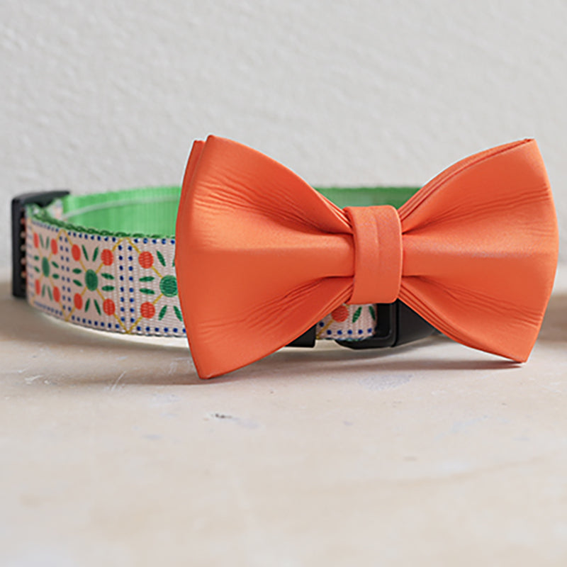 Halloween Cute Personalized Dog Collar with Plastic Buckle