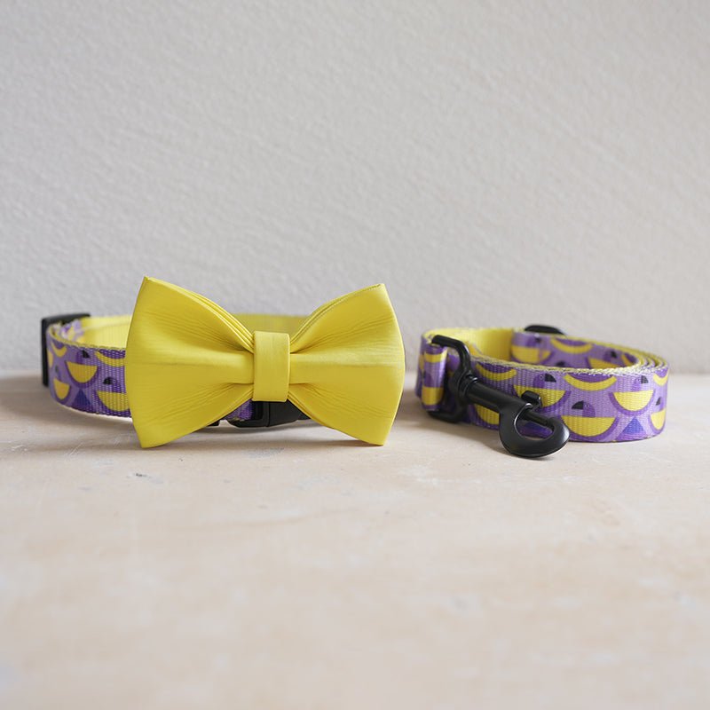 Cute Personalized Dog Collar Plastic Buckle, Custom Pet Collar Bow Tie, Leash