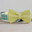 Plastic Buckle Cute Personalized Dog Collar, Custom Pet Collar Bow Tie, Leash