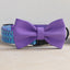 Cute Personalized Dog Collar Plastic Buckle, Custom Pet Collar Bow Tie, Leash