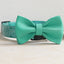 Halloween Cute Personalized Dog Collar with Plastic Buckle