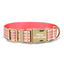 Cute Personalized Dog Collar with Plastic Buckle