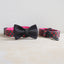 Plastic Buckle Cute Personalized Dog Collar, Custom Pet Collar Bow Tie, Leash