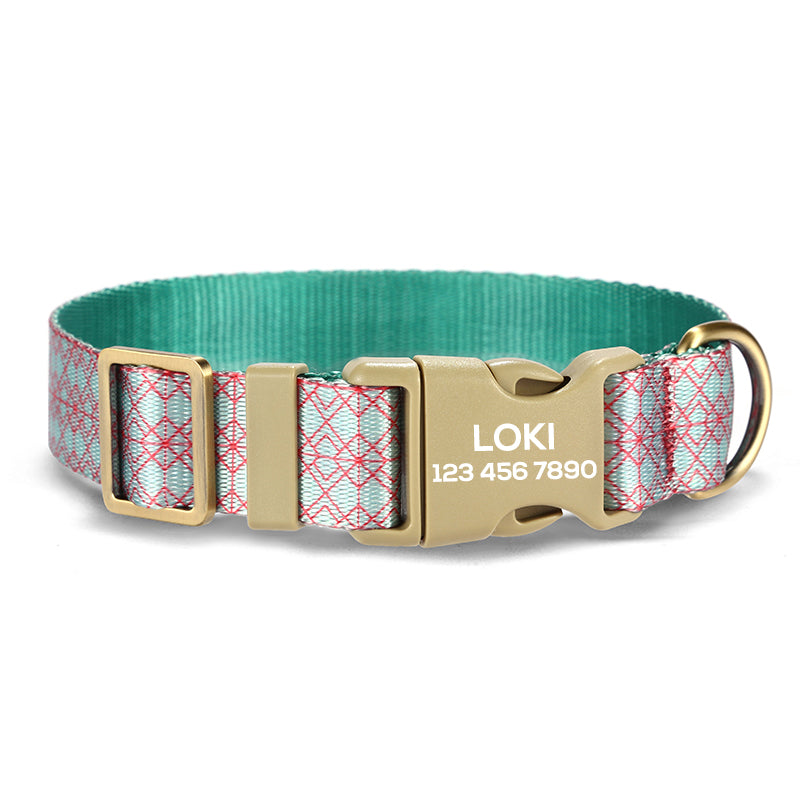 Cute Personalized Dog Collar with Plastic Buckle