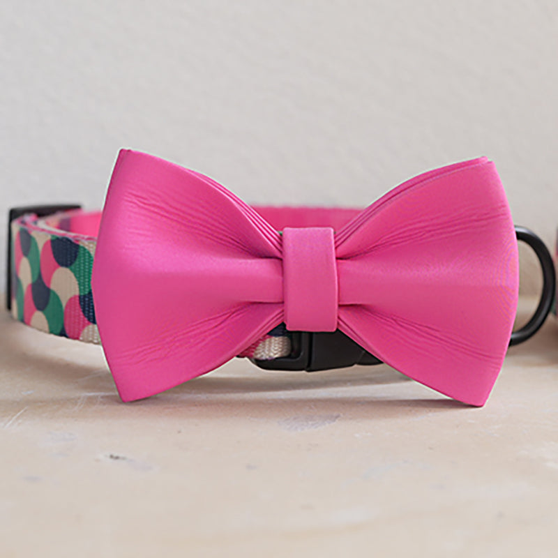 Cute Personalized Dog Collar Plastic Buckle, Custom Pet Collar Bow Tie, Leash
