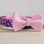 Cute Personalized Dog Collar Plastic Buckle, Custom Pet Collar Bow Tie, Leash