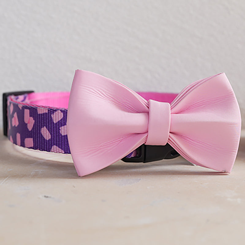 Cute Personalized Dog Collar Plastic Buckle, Custom Pet Collar Bow Tie, Leash