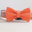 Fruit Cute Personalized Dog Collar Plastic Buckle, Custom Pet Collar Bow Tie, Leash