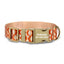Cute Personalized Dog Collar with Plastic Buckle