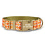 Cute Personalized Dog Collar with Plastic Buckle