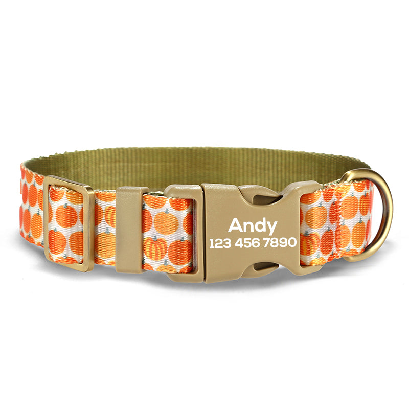 Cute Personalized Dog Collar with Plastic Buckle