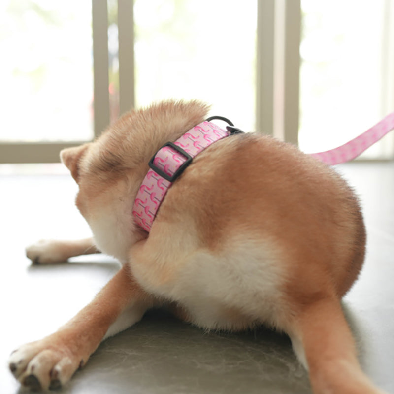 Cute Personalized Dog Collar Plastic Buckle, Custom Pet Collar Bow Tie, Leash