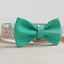 Flower Cute Personalized Dog Collar with Plastic Buckle