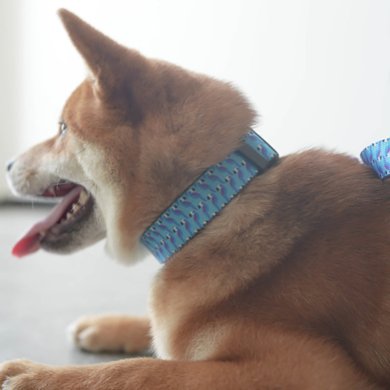 Cute Personalized Dog Collar Plastic Buckle, Custom Pet Collar Bow Tie, Leash