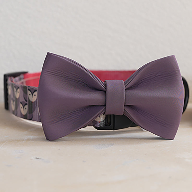 Cute Personalized Dog Collar Plastic Buckle, Custom Pet Collar Bow Tie, Leash
