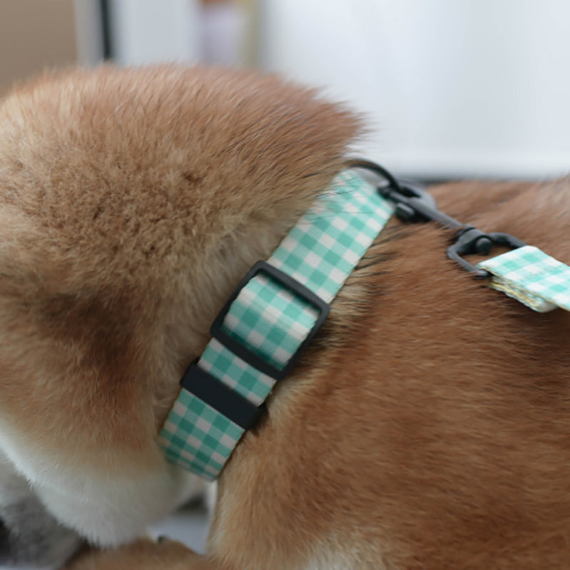 Plastic Buckle Cute Personalized Dog Collar, Custom Pet Collar Bow Tie, Leash