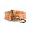 Cute Personalized Dog Collar with Plastic Buckle