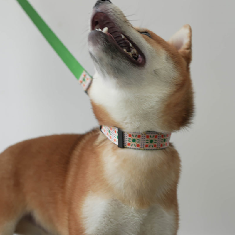 Halloween Cute Personalized Dog Collar with Plastic Buckle