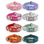 Custom Engraved Color Plastic Buckle Pet Collars - Personalized ID Collar