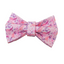 Flower Personalized Cat Collar with Bowtie Free Engraved