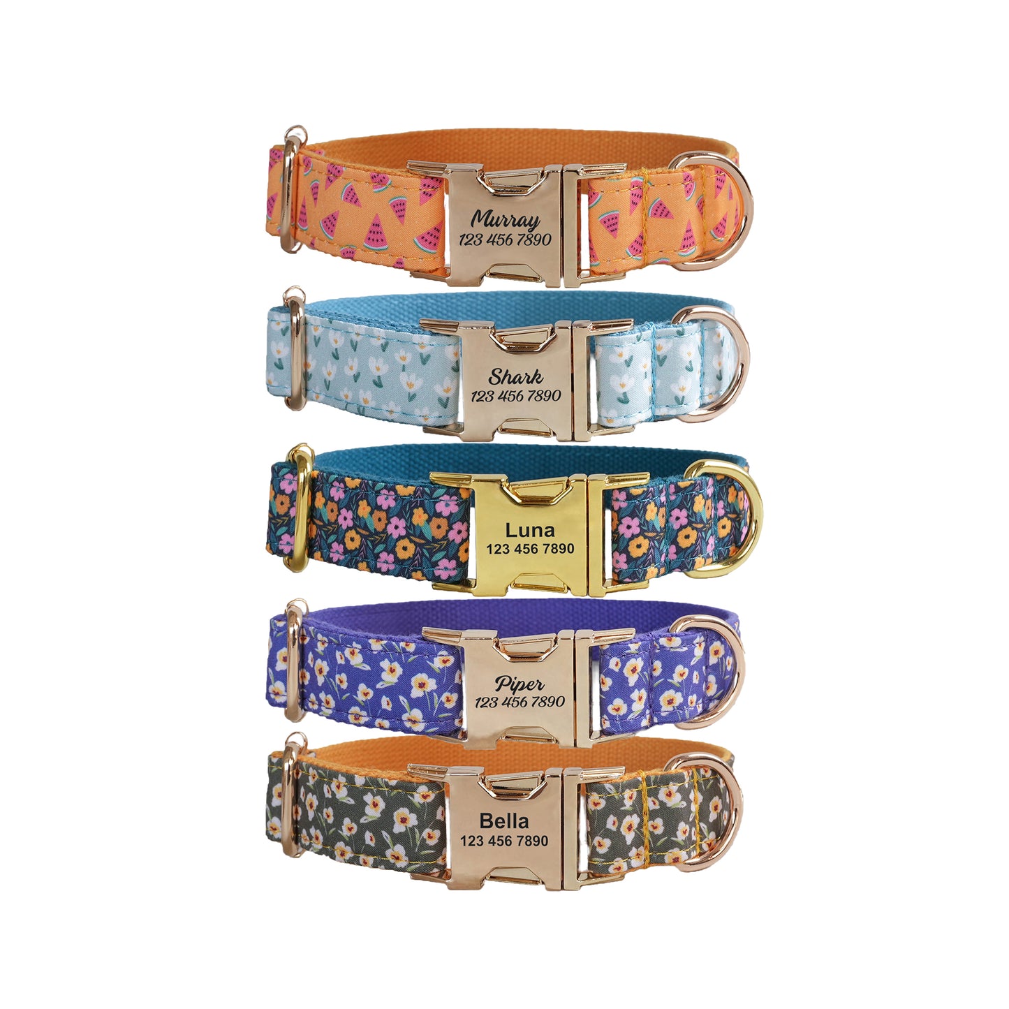 Little Fower Custom Dog Collars, Personalized Puppy Collar, Bowtie, Leash