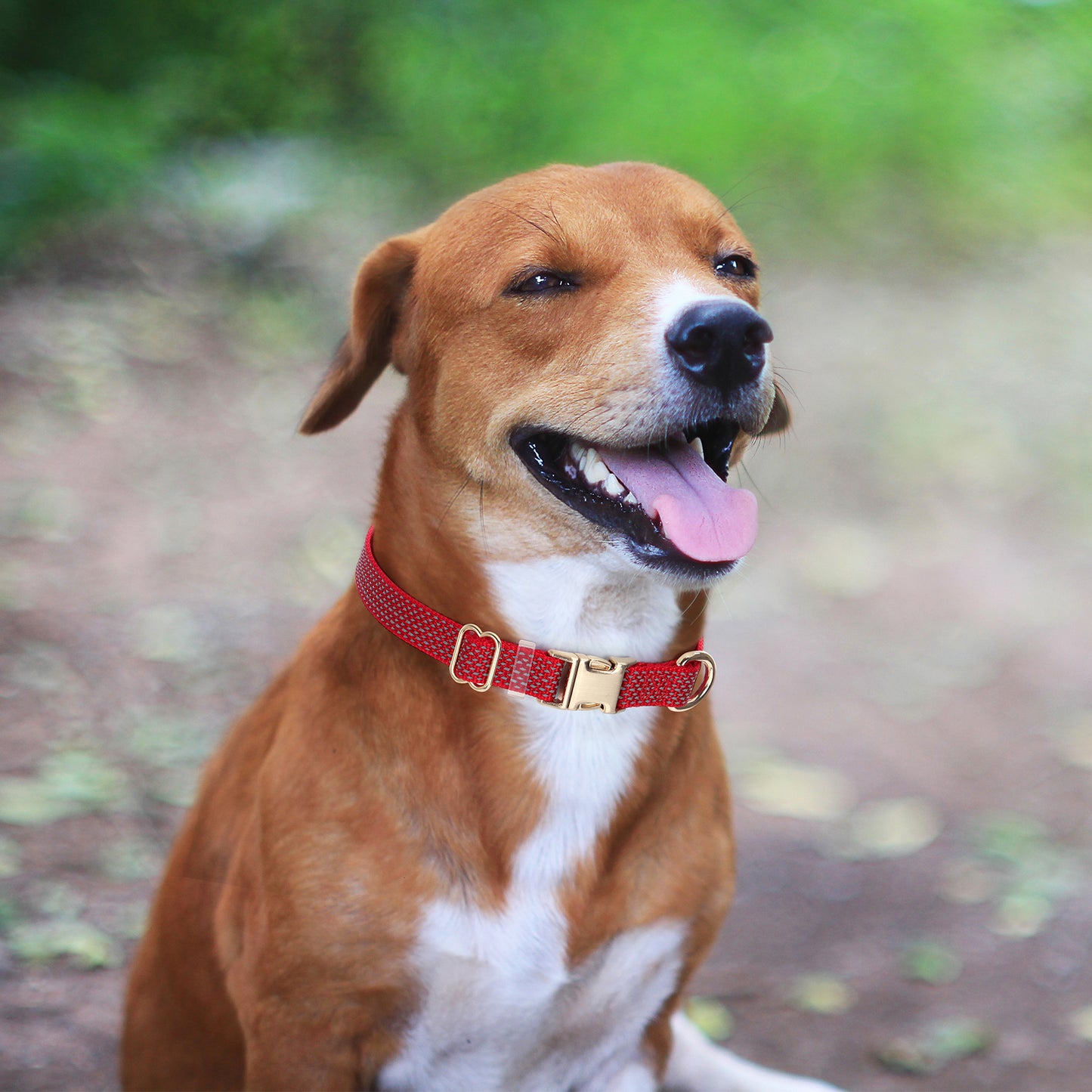 Customized Nylon Reflective Dog Collar Engravable Pet Collar