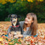 Customized Nylon Reflective Dog Collar Engravable Pet Collar