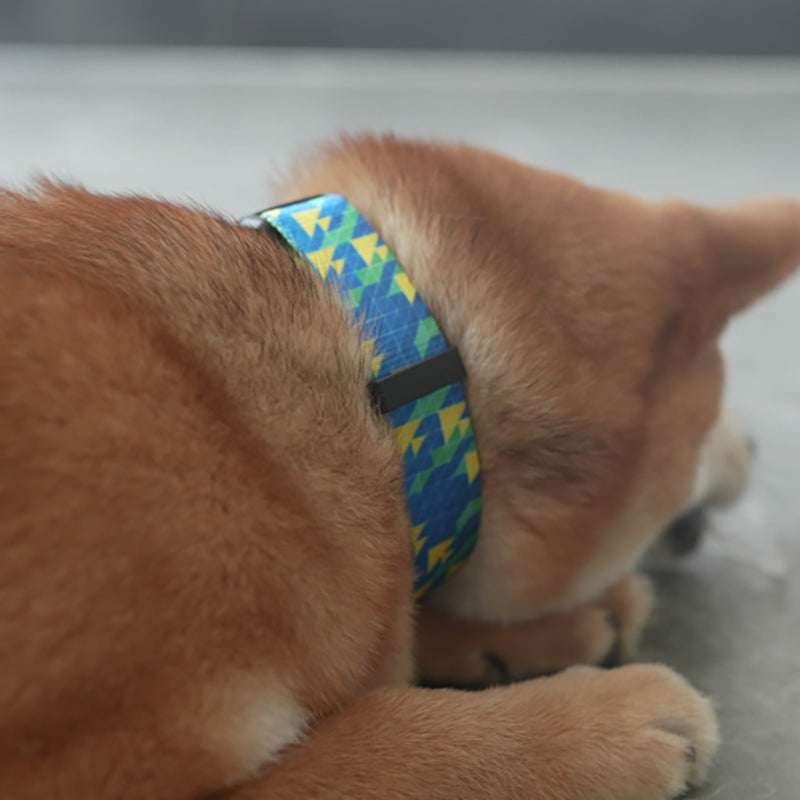 Plastic Buckle Cute Personalized Dog Collar, Custom Pet Collar Bow Tie, Leash