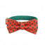 Christmas Anti-Lost Custom Engraved Pet Collar