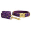 Halloween Anti-Lost Custom Engraved Pet Collar