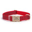 Customized Nylon Reflective Dog Collar Engravable Pet Collar