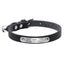 Personalized Leather Cat Collar with Engraving and Bell
