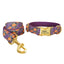 Halloween Anti-Lost Custom Engraved Pet Collar