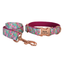 Cute Personalized  Dog Collars,Custom Puppy Collar, Bowtie, Leash