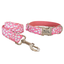 Cute Personalized  Dog Collars,Custom Puppy Collar, Bowtie, Leash