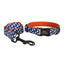 Halloween Anti-Lost Custom Engraved Pet Collar