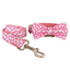 Cute Personalized  Dog Collars,Custom Puppy Collar, Bowtie, Leash