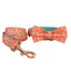 Blue Fower Custom Dog Collars, Personalized Puppy Collar, Bowtie, Leash