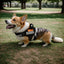 Reflective Explosion-Proof Dog Vest Harness
