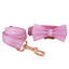 Little Fower Custom Dog Collars, Personalized Puppy Collar, Bowtie, Leash