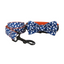 Halloween Anti-Lost Custom Engraved Pet Collar
