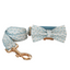 Little Fower Custom Dog Collars, Personalized Puppy Collar, Bowtie, Leash