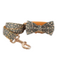 Little Fower Custom Dog Collars, Personalized Puppy Collar, Bowtie, Leash