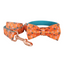 Colorful Fower Custom Dog Collars, Personalized Puppy Collar, Bowtie, Leash