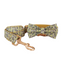 Blue Fower Custom Dog Collars, Personalized Puppy Collar, Bowtie, Leash