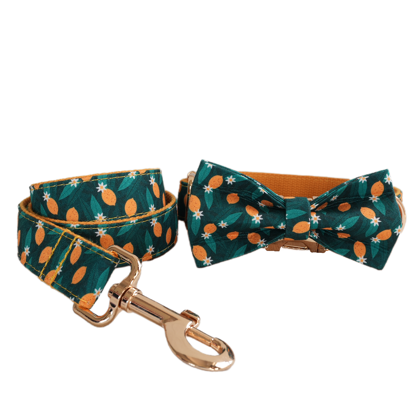 Blue Fower Custom Dog Collars, Personalized Puppy Collar, Bowtie, Leash