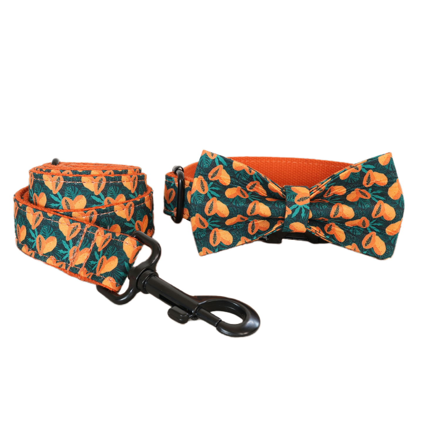 Blue Fower Custom Dog Collars, Personalized Puppy Collar, Bowtie, Leash